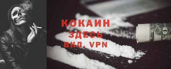 метадон Горняк