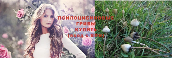 кокс Горнозаводск