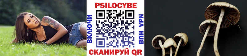 Галлюциногенные грибы Psilocybe  Лысково 