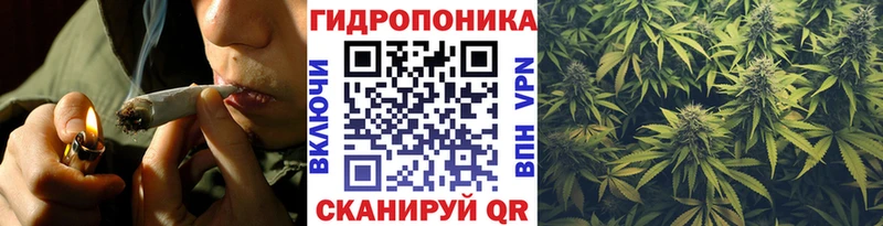 Каннабис Amnesia Лысково
